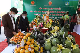 Các đại biểu tham quan các giảng hàng trưng bày nông sản trưng bày tại hội nghị. (Ảnh: Danh Lam/TTXVN) 
