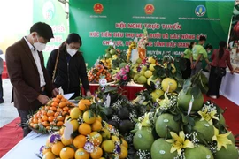 Các đại biểu tham quan các giảng hàng trưng bày nông sản trưng bày tại hội nghị. (Ảnh: Danh Lam/TTXVN) 