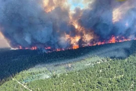 Khói bốc lên từ đám cháy rừng ở British Columbia, Canada ngày 29/6/2021. (Ảnh: AFP/TTXVN) 