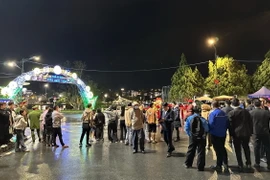 Phố đi bộ Trần Quốc Toản (sát bên hồ Xuân Hương, Đà Lạt) được tổ chức từ 18-22h thứ Sáu, thứ Bảy, Chủ nhật hằng tuần. (Ảnh: Nguyễn Dũng/TTXVN)