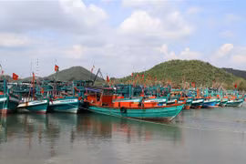 (Ảnh minh họa: Lê Huy Hải/TTXVN)