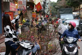 Các chợ dân sinh ở Hà Nội tấp nập từ sớm 29 Tết