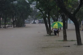 (Ảnh minh họa: Lê Ngọc Phước/TTXVN)