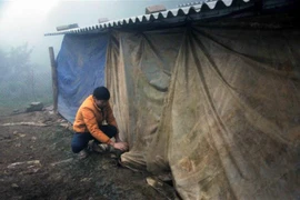 Người dân Sơn La chủ động căng bạt, chuẩn bị bóng sưởi và thức ăn cho gia súc, gia cầm. (Ảnh: Quang Quyết/TTXVN) 