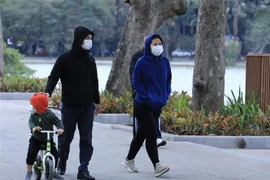 (Ảnh minh họa: Hoàng Hiếu/TTXVN) 