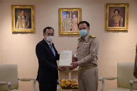 Phó Thủ tướng, Bộ trưởng Y tế Thái Lan Anutin Charnvirakul (bên phải) và Đại sứ Việt Nam tại Thái Lan Phan Chí Thành. (Ảnh: TTXVN phát) 