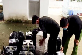 Lực lượng chức năng kiểm đếm số tang vật vừa thu giữ. (Ảnh: TTXVN phát) 