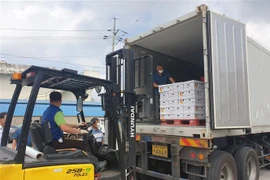 Ớt đóng thùng được vận chuyển lên xe tải để xuất khẩu sang Trung Quốc, tại Namwon, tỉnh Nam Jeolla, Hàn Quốc ngày 25/8/2020. (Nguồn: Yonhap/TTXVN) 