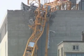 Hiện trường vụ việc. (Nguồn: Globalnews)