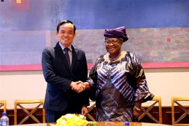 Phó Thủ tướng Trần Lưu Quang và Tổng Giám đốc WTO Okonjo-Iweala. (Ảnh: Tố Uyên/TTXVN) 