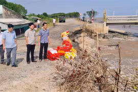 Lãnh đạo Sở Sở Nông nghiệp Phát triển Nông thôn tỉnh Bạc Liêu và thành phố Bạc Liêu kiểm tra thực tế sạt lở đê Biển Đông. (Ảnh: Tuấn Kiệt/TTXVN)