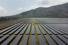 Cánh đồng pin năng lượng Mặt Trời. (Nguồn: TTXVN) 