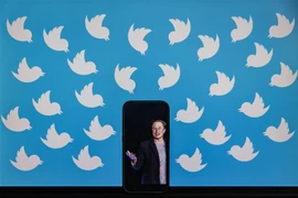 Ảnh tỷ phú Elon Musk trên màn hình điện thoại và biểu tượng của mạng xã hội Twitter. (Ảnh: AFP/TTXVN) 