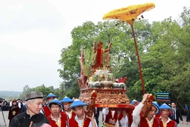 Đoàn rước kiệu dâng lễ vật hương, hoa, bánh chưng, bánh giầy gắn liền với những truyền thuyết về vua Hùng. (Ảnh: Thống Nhất/TTXVN)