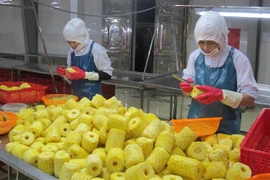 Chế biến dứa tại Công ty cổ phần Thực phẩm xuất khẩu Đồng Giao, thành phố Tam Điệp. (Ảnh: Thùy Dung/TTXVN)