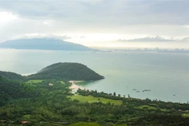 Dự án Làng Vân có quy mô gần 1.000ha. (Ảnh: Văn Dũng/TTXVN)