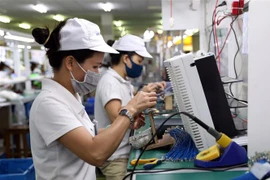 Dây chuyền sản xuất, lắp ráp linh kiện cho bếp gas tại khu công nghiệp, đô thị VSIP Hải Phòng. (Ảnh: Danh Lam/TTXVN)