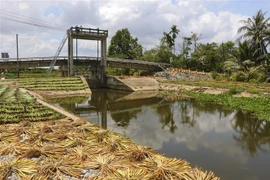 Cống ngăn mặn Kênh Năm, xã Hỏa Tiến, thành phố Vị Thanh đã được đóng để ngăn nước mặn xâm nhập vào nội đồng. (Ảnh: Duy Khương/TTXVN)