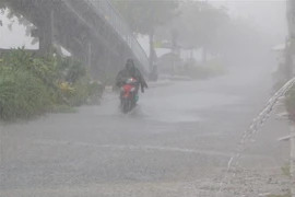 Mưa lớn liên tục góp phần làm giảm xâm nhập mặn. (Ảnh: Duy Khương/TTXVN)