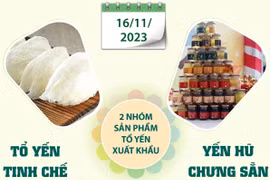 Chính thức xuất khẩu lô tổ yến đầu tiên sang Trung Quốc.