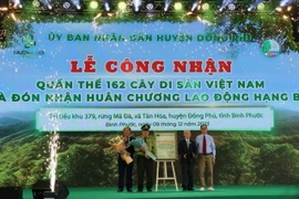 Lễ Công nhận Quần thể Cây Di sản. (Ảnh: TTXVN phát)