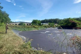 Trại nuôi lợn không che chắn bể biogas để phát tán mùi hôi thối ra môi trường xung quanh. (Nguồn: Báo Kon Tum)