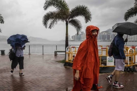 Hong Kong liên tục đưa ra cảnh báo về gió mạnh và các dải mưa dữ dội khi bão Koinu di chuyển về phía cửa sông Châu Giang. (Nguồn: AFP)