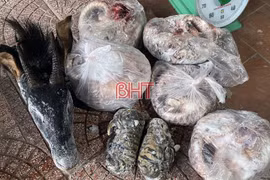 Tang vật thu giữ của Trần Anh Tuấn. (Nguồn: Báo Hà Tĩnh)