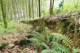 Điểm sụt lún trên núi Cây Sường.