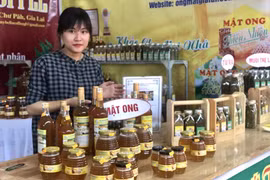 Gian hàng giới thiệu sản phẩm mật ong hoa càphê của Gia Lai. (Nguồn: Báo Gia Lai)