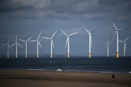 Một trang trại gió ngoài khơi bờ biển Redcar, Anh. (Ảnh: AFP/TTXVN)