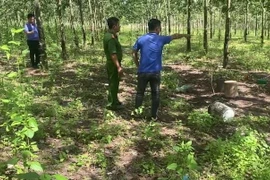 Hiện trường vụ án. (Ảnh: TTXVN phát)