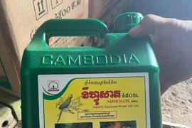 Một sản phẩm thuốc bảo vệ thực vật nghi buôn lậu vào Việt Nam. (Nguồn: Dân Trí)