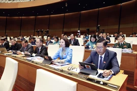 Đoàn Đại biểu Quốc hội tỉnh Sơn La dự khai mạc. (Ảnh: Doãn Tấn/TTXVN)