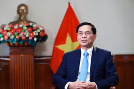 Bộ trưởng Ngoại giao Bùi Thanh Sơn. (Ảnh: TTXVN)