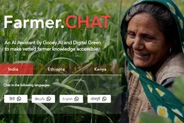 Nông dân có thể gõ hoặc nói chuyện bằng ngôn ngữ riêng và nhận được câu trả lời cụ thể. (Nguồn: Gooey)