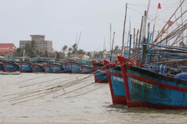 Tàu thuyền neo đậu tránh bão. (Ảnh minh họa. Nguồn: TTXVN)