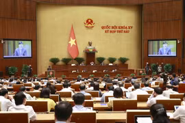 Quang cảnh phiên họp. (Ảnh: Doãn Tấn/TTXVN)