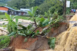 Hoa màu của người dân ở Lào Cai bị thiệt hại nghiêm trọng do mưa lũ. (Ảnh: Quốc Khánh/TTXVN)