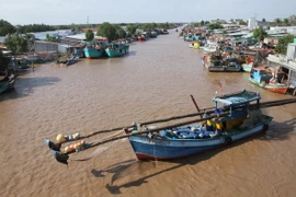 Ghe cào ruốc của ngư dân Bạc Liêu chuẩn bị rời bến ra biển. (Ảnh: Chanh Đa/TTXVN)
