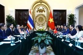 Bộ trưởng Ngoại giao Bùi Thanh Sơn hội đàm với Phó Thủ tướng, Bộ trưởng Ngoại giao Thái Lan Parnpree Bahiddha-Nukara. (Ảnh: Lâm Khánh/TTXVN)