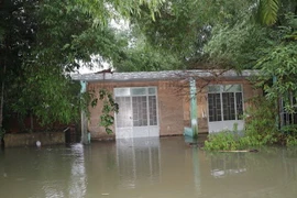 Nhà tại xóm Bầu, thôn Tân Hy 2, xã Bình Đông, huyện Bình Sơn bị ngập. (Ảnh: Đinh Hương/TTXVN)