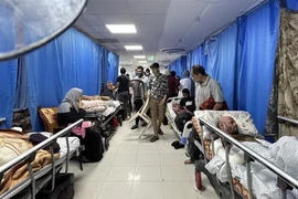 Bệnh nhân điều trị tại bệnh viện Al-Shifa ở Dải Gaza, ngày 10/11. (Ảnh: AFP/TTXVN)