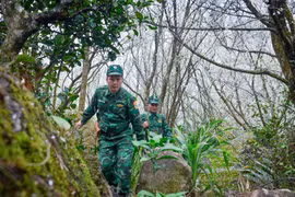 Cán bộ, chiến sỹ Đồn Biên phòng Thàng Tín (Hà Giang) tuần tra, kiểm soát địa bàn được giao phụ trách. (Ảnh: Nam Thái/TTXVN)
