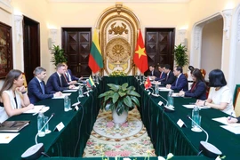 Bộ trưởng Ngoại giao Bùi Thanh Sơn hội đàm với Bộ trưởng Ngoại giao Cộng hòa Litva Gabrielius Landsbergis. (Ảnh: An Đăng/TTXVN)