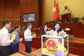 Đại biểu Quốc hội bỏ phiếu tín nhiệm. (Ảnh: Doãn Tấn/TTXVN)