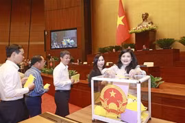 Đại biểu Quốc hội bỏ phiếu tín nhiệm. (Ảnh: Doãn Tấn/TTXVN)
