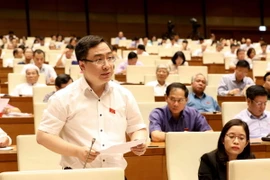 Đại biểu Quốc hội tỉnh Đắk Lắk Đặng Xuân Phương phát biểu. (Ảnh: Phương Hoa/TTXVN)