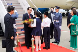 Lễ đón Chủ tịch nước Trần Đại Quang và Phu nhân tại sân bay Quốc tế Haneda, Thủ đô Tokyo, Nhật Bản. (Ảnh: Nhan Sáng/TTXVN)