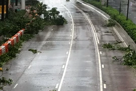 Cành cây gẫy la liệt trên đường Glouceste, Hong Kong. (Ảnh: Xuân Tuấn/Vietnam+)
